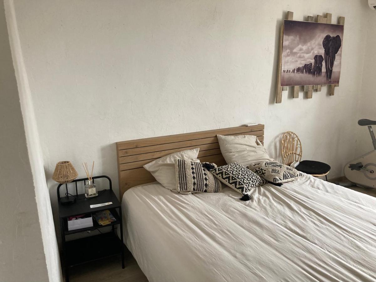 Chambre Privee Dans Maison Dromoise - Viarhona - Autoroute - Jacuzzi A Reserver En Supplement Châteauneuf-du-Rhône エクステリア 写真